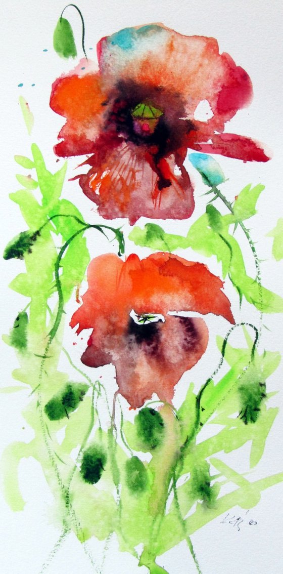 Playful poppies III