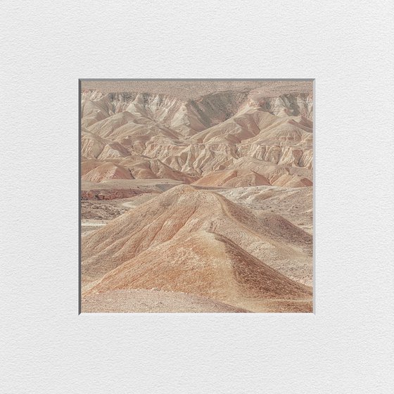 Negev Desert