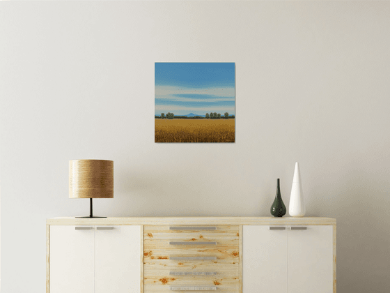 Summer Wheat - Blue Sky Landscape