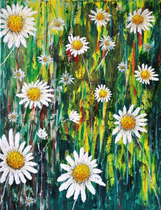 Daisies...1