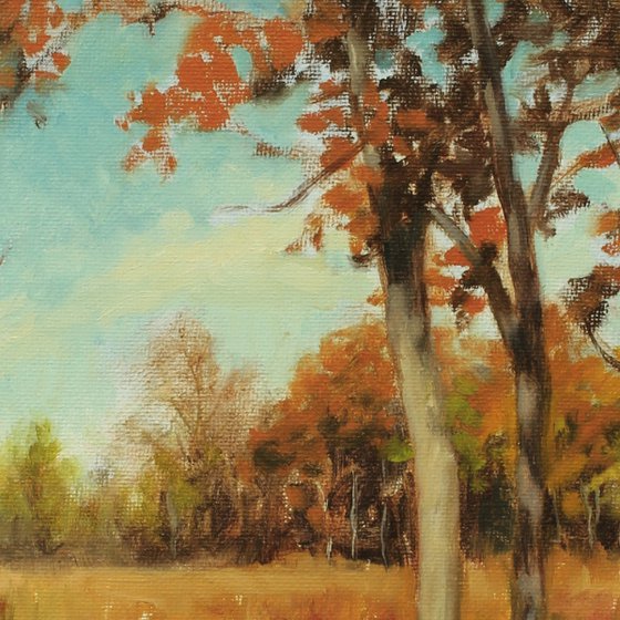 Autumn trees and field