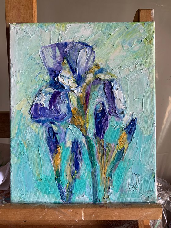 Iris , still life