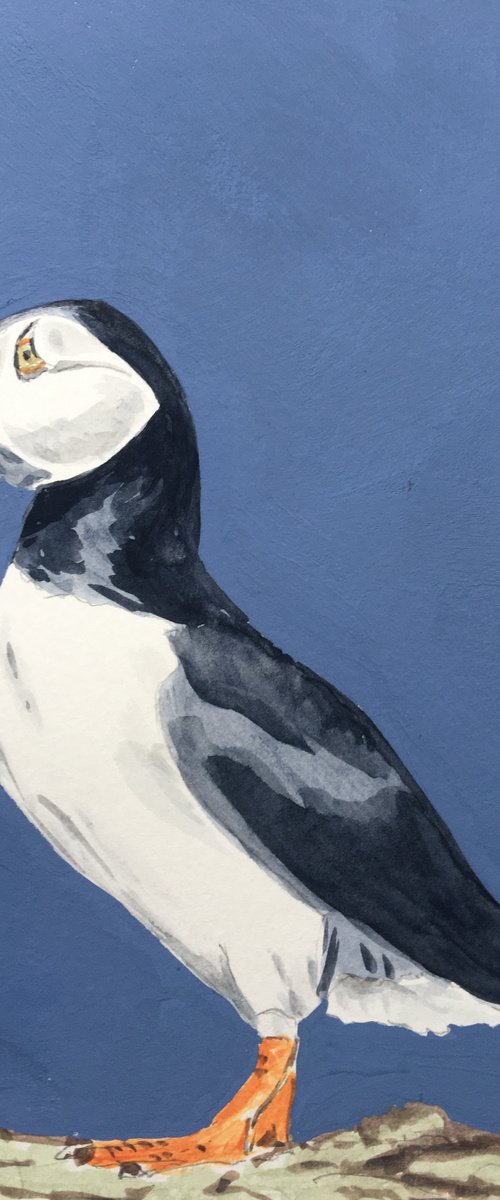 Puffin #4 by Laurence Wheeler