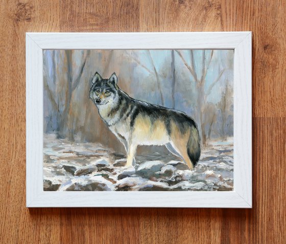 Winter wolf in snowy forest scene