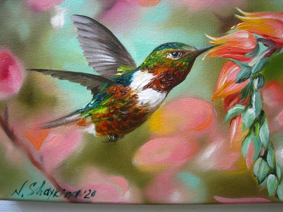 Hummingbird