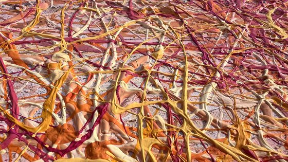 Where the Moment Breathes - framed