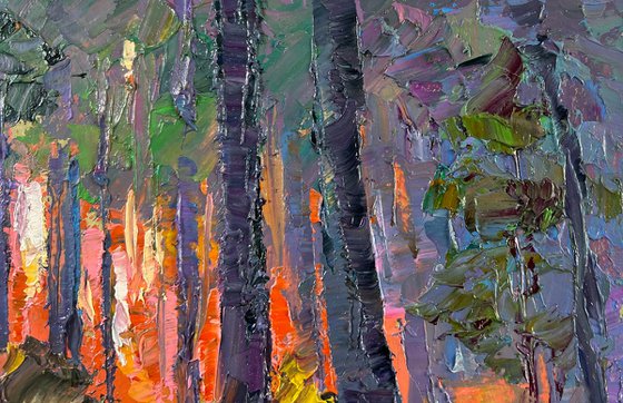 Summer Morning at Sunrise