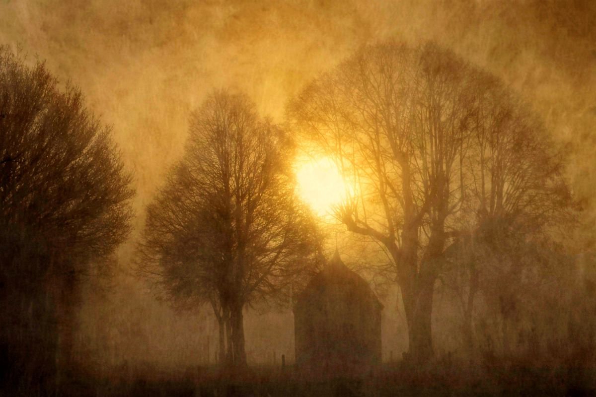 Enchanted by Dawn by Sandra Roeken