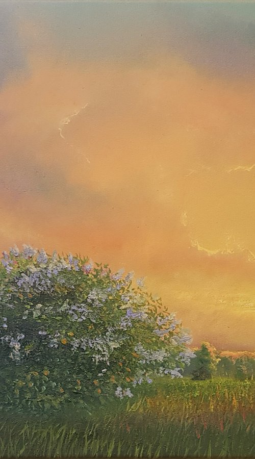 Lilacs melody by Vladimir Jarmolo