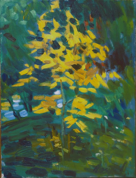Falls tree autumn nature impressionistic modern original oil painting