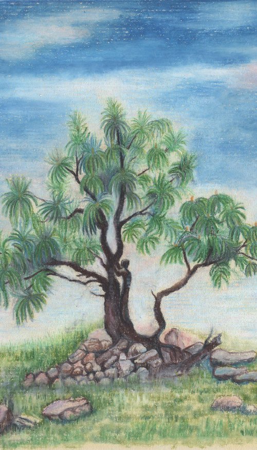 Chir Pine Tree II by Shweta  Mahajan