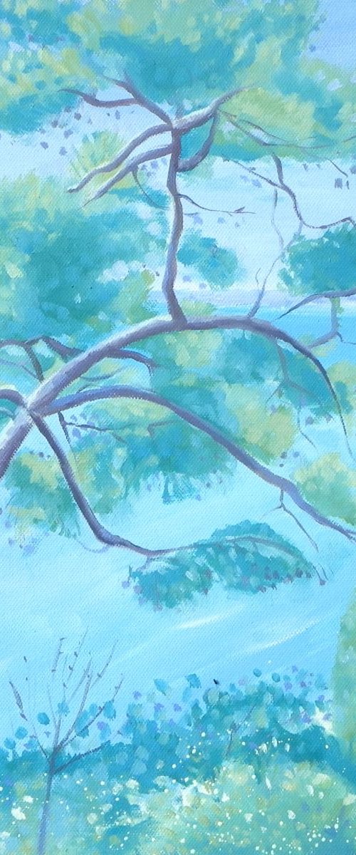 Pine Tree, Nice by Mary Stubberfield