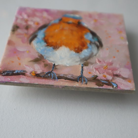 Bird on Blossom Branch, Spring Birds