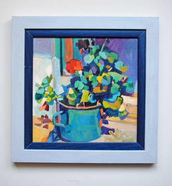 Geraniums in a blue pot