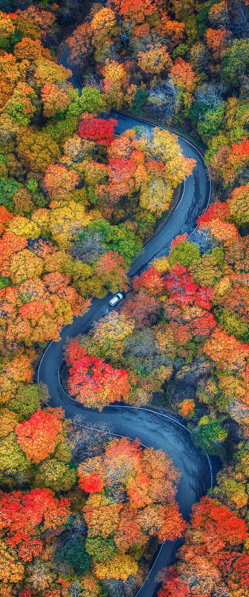 Smugglers' Notch, October by Francois de Melogue