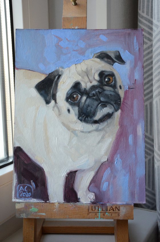 Cute pug (oil/cardboard)