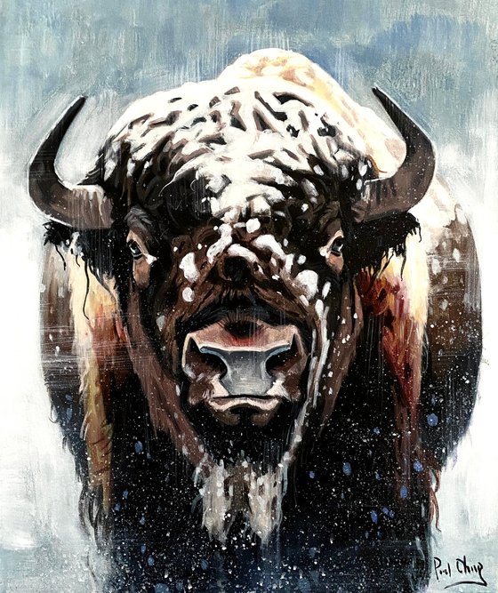 Spirit of the Snow Plains