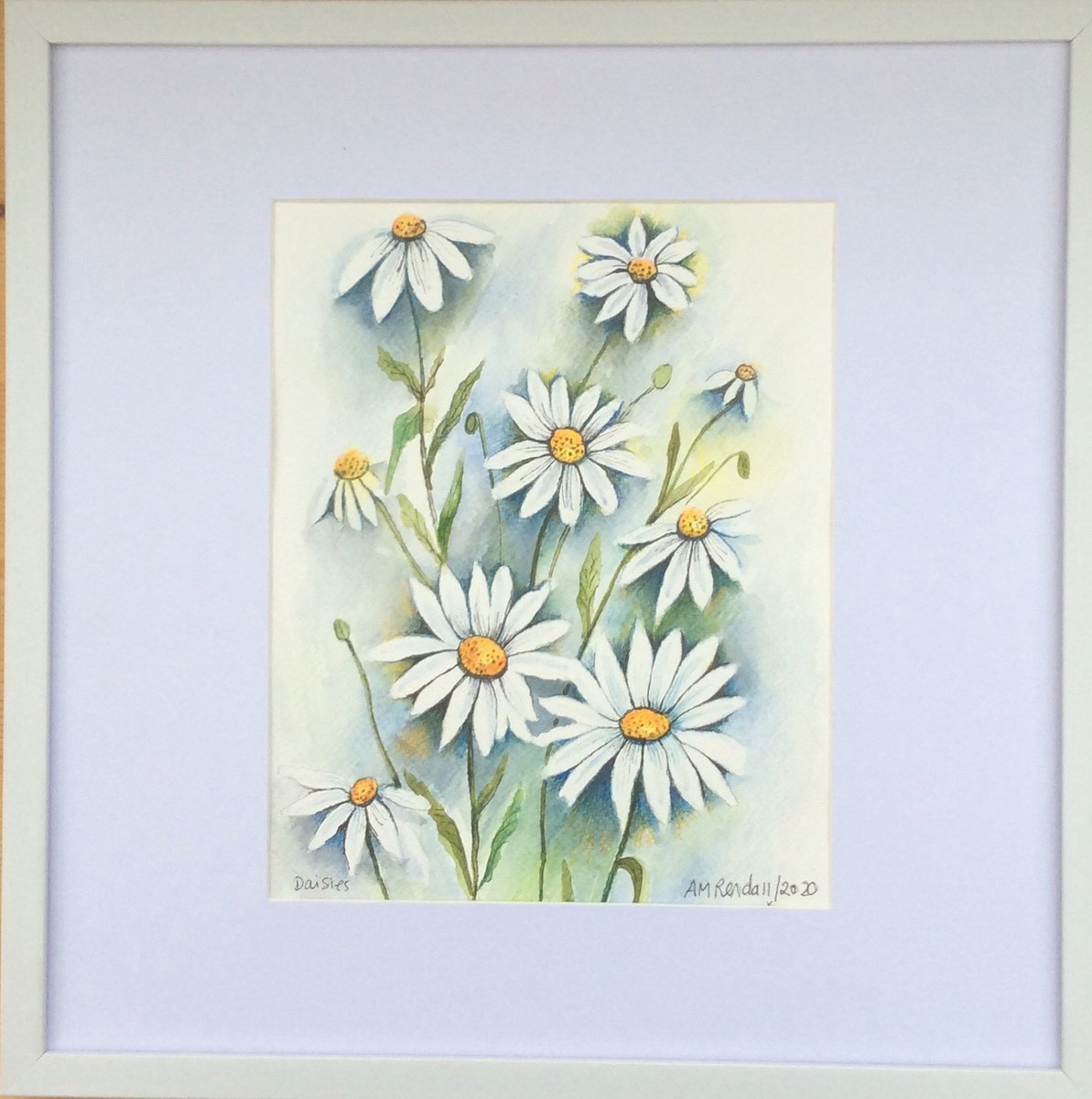 Daisies by Angela Rendall