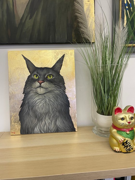 Maine Coon Simon