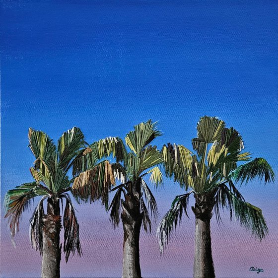 Palm Trees