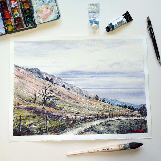 Mountainside Path