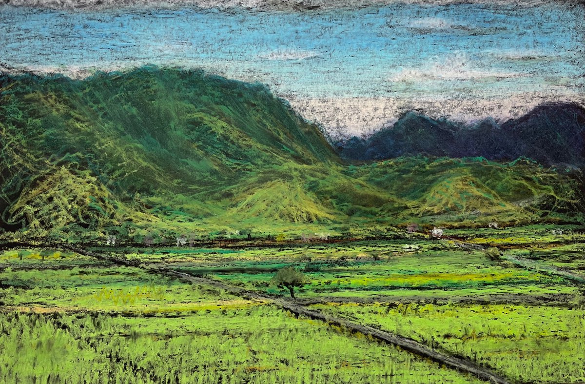 Chihshang Ricefields 2, Taitung by David Lloyd