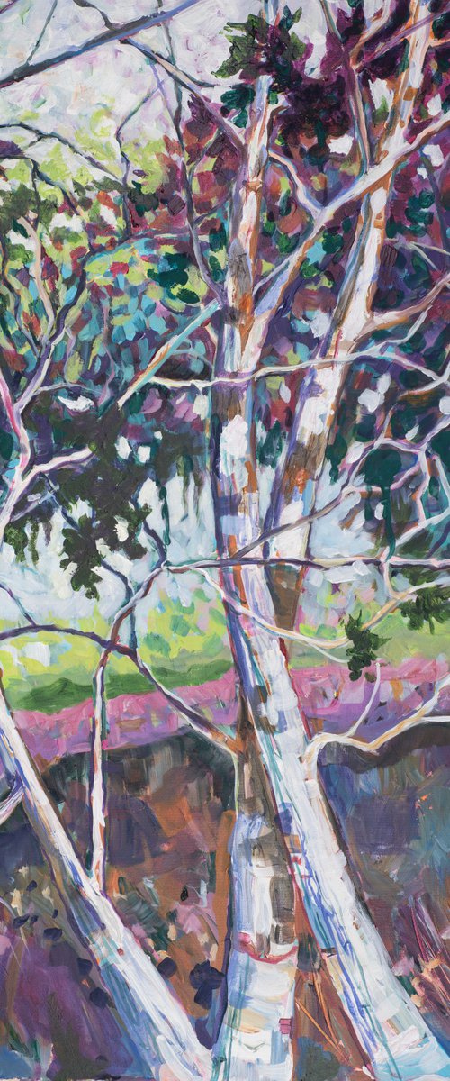 Eucalyptus 2 by Eliry Arts