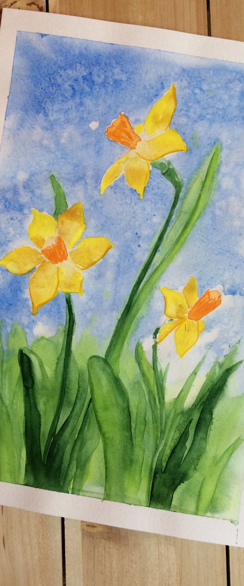 Yellow narcissus on a blue sky background by Olga Ivanova