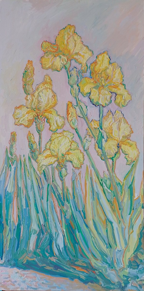 Impressionistic Botanical Oil Painting By Nigel Dickerson, 19 X 35", Yellow Bearded Irisis, Original Artwork