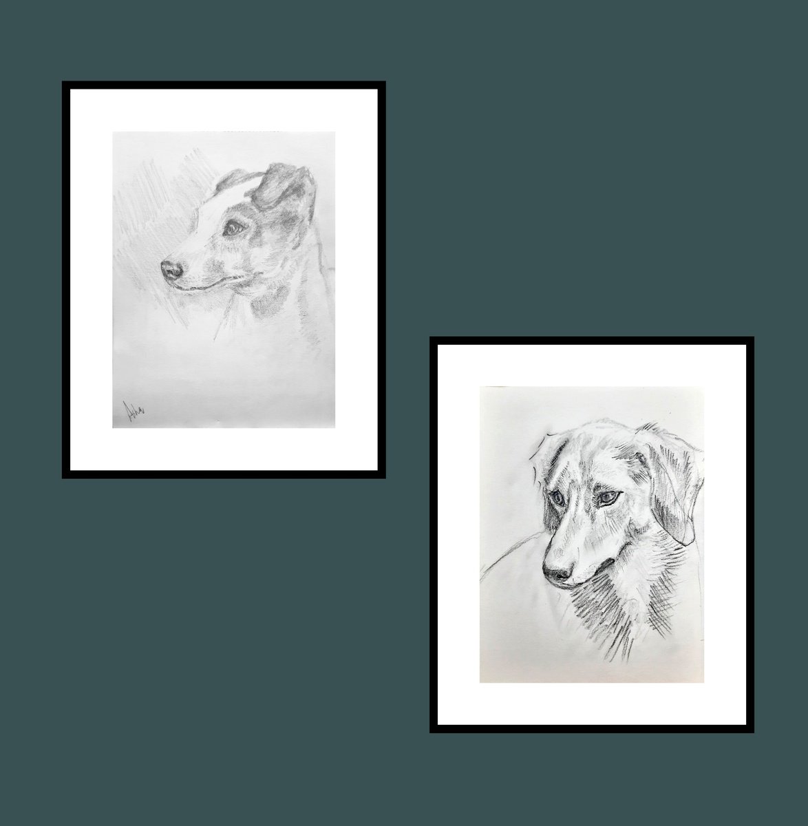 Impressionistic Animal Pencil Drawing By Asha Shenoy, 8 X 11, Set Of Two Russel Terriers, Original Artwork