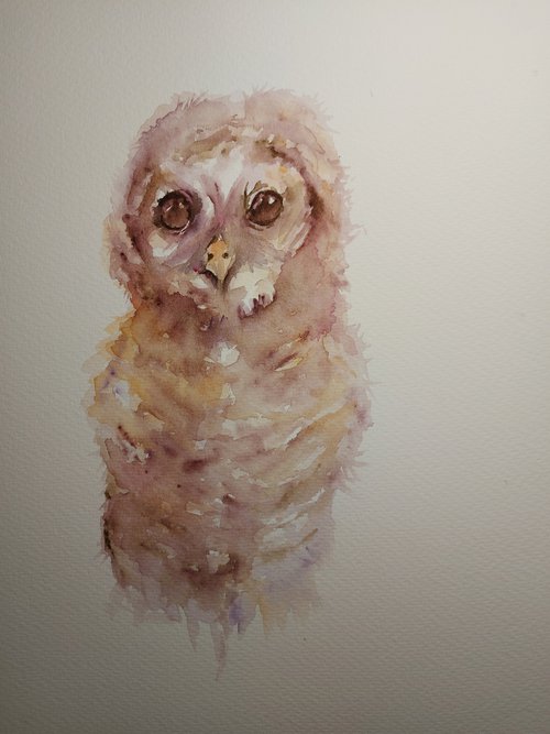 Owl Baby by Sue  Green