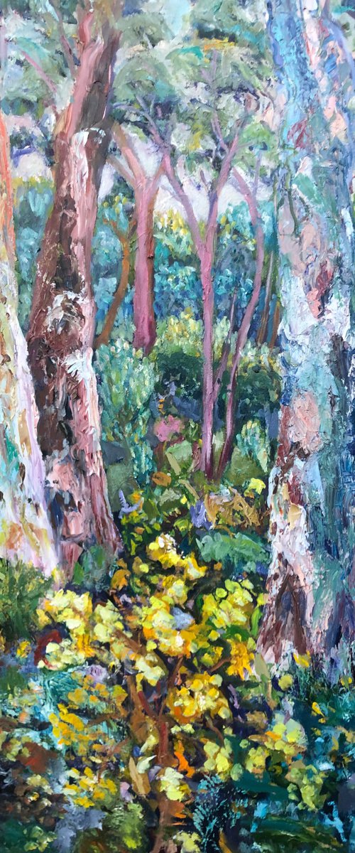EUCALYPTUS AND WATTLE by Maureen Finck