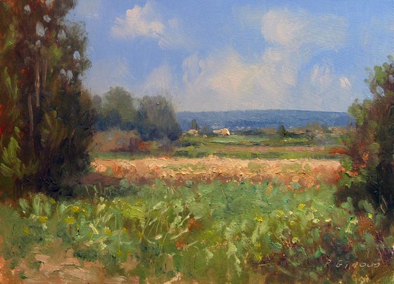 Fields in Provence near Sisteron