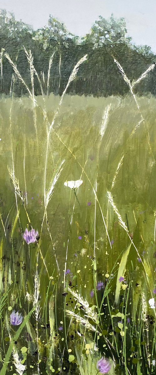 Purple Clover Meadow by Elizabeth Westcott