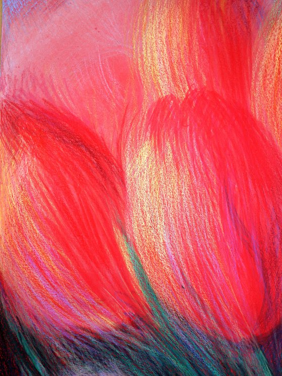 Tulips Red 6