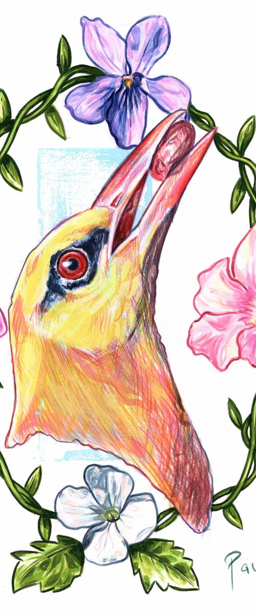 Golden oriole by Paul Ward