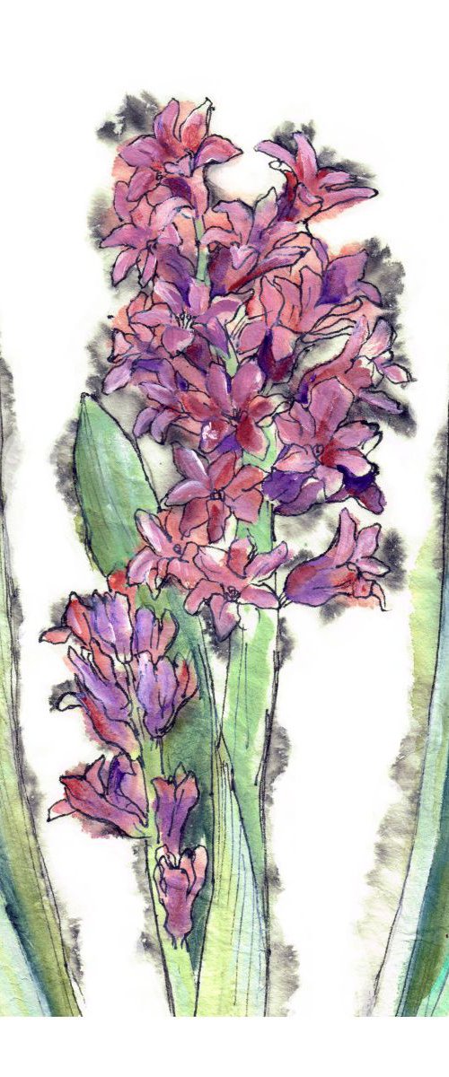 Hyacinth by Veda  West