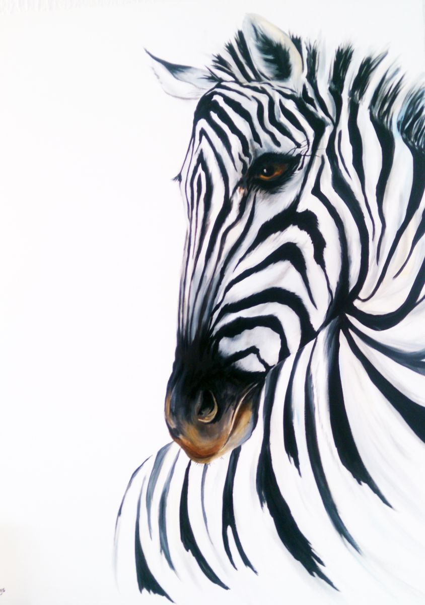 Zebra on huge canvas 30 x 40 inches | Artfinder