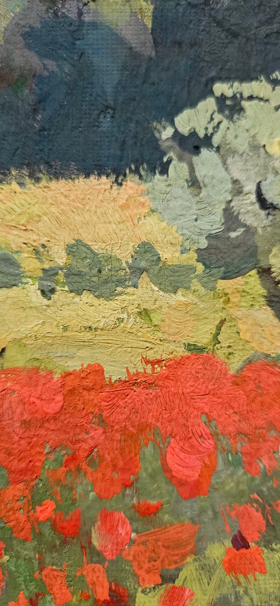 Olive Trees and Poppy Bloom. Landscape