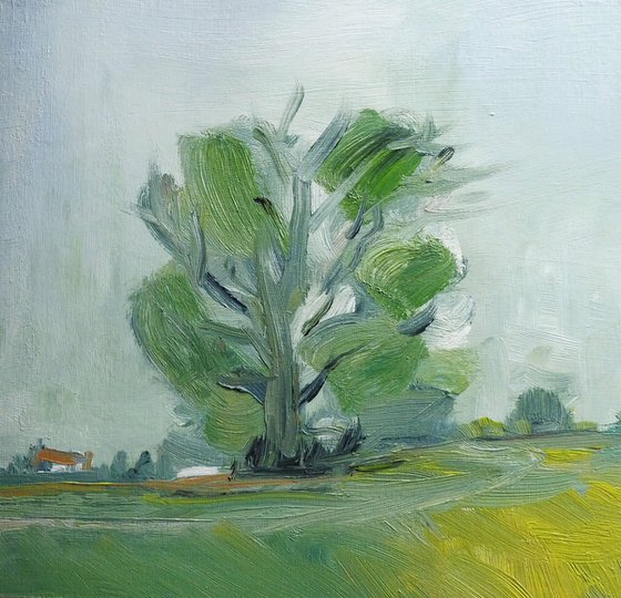 SUMMER TREE & DWELLING, WARWICKSHIRE LANDSCAPE. Original Landscape Oil Painting.