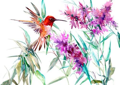 Allen's Hummingbird and Sage Flowers by Suren Nersisyan