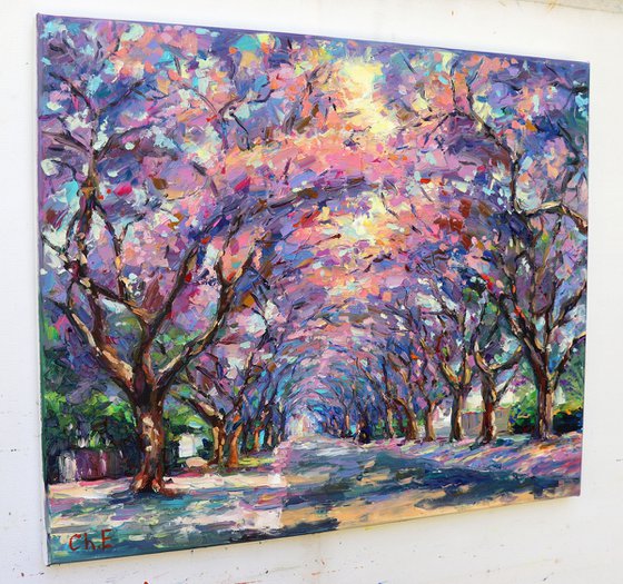 "Spring Park"