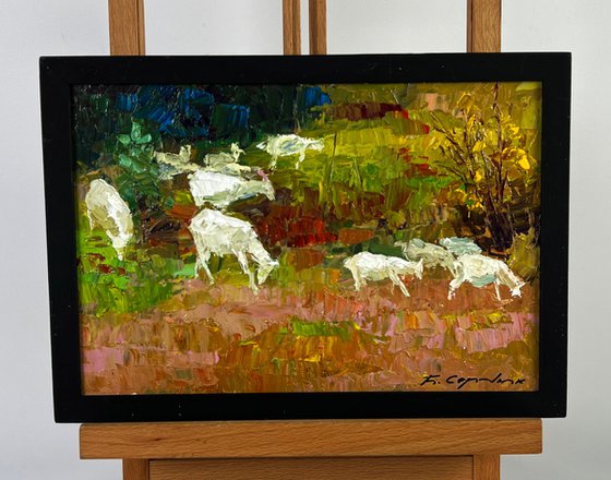 White Goats in the Meadows