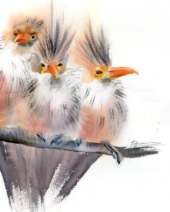 Trio Of Crested Birds - Diptych