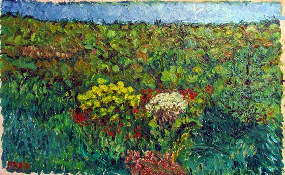 Summer Highland landscape with vegetation