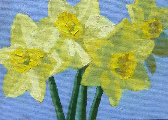 Daffodils