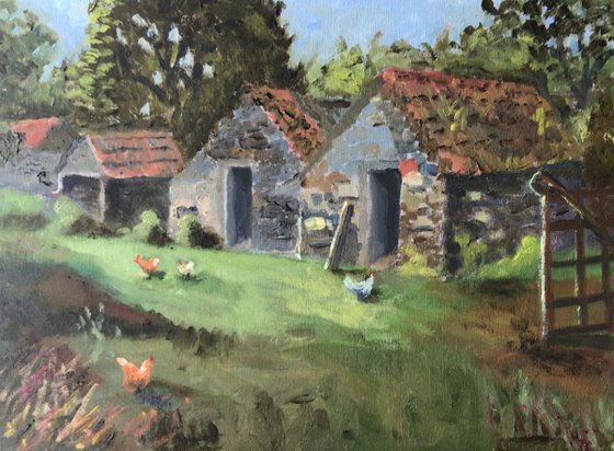 Irish farmyard chickens
