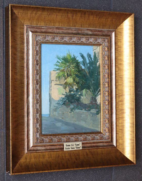 Palm trees. Sliema