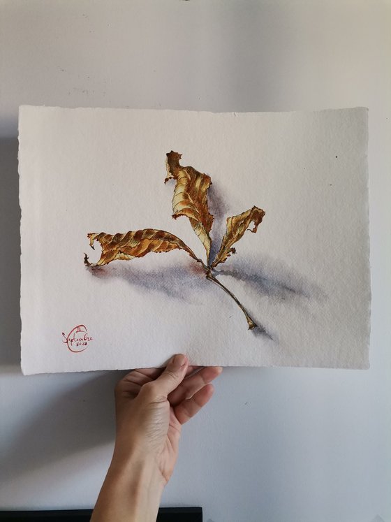 Still life with leaf. Details of nature