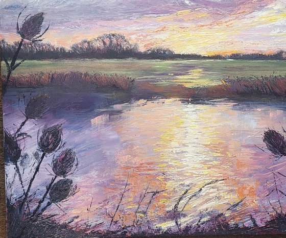 Evening Light